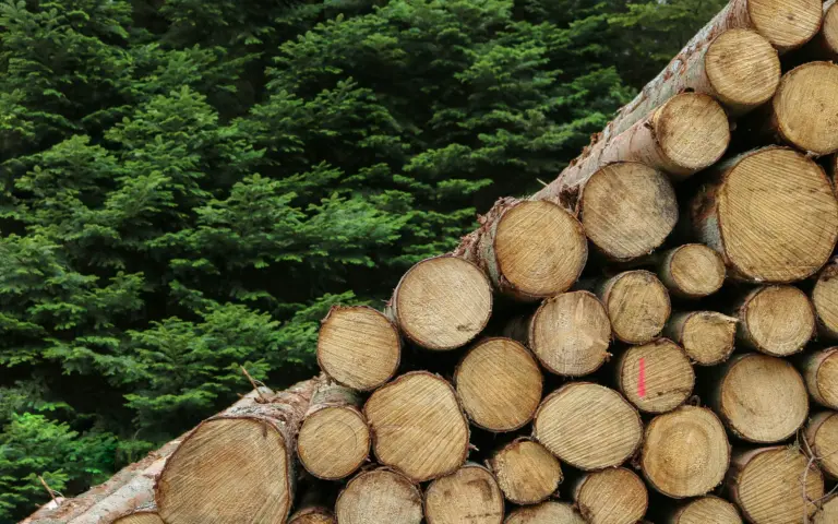 Essity and Ahlstrom collaborate with Midstrom to advance biogenic CO₂ value chains